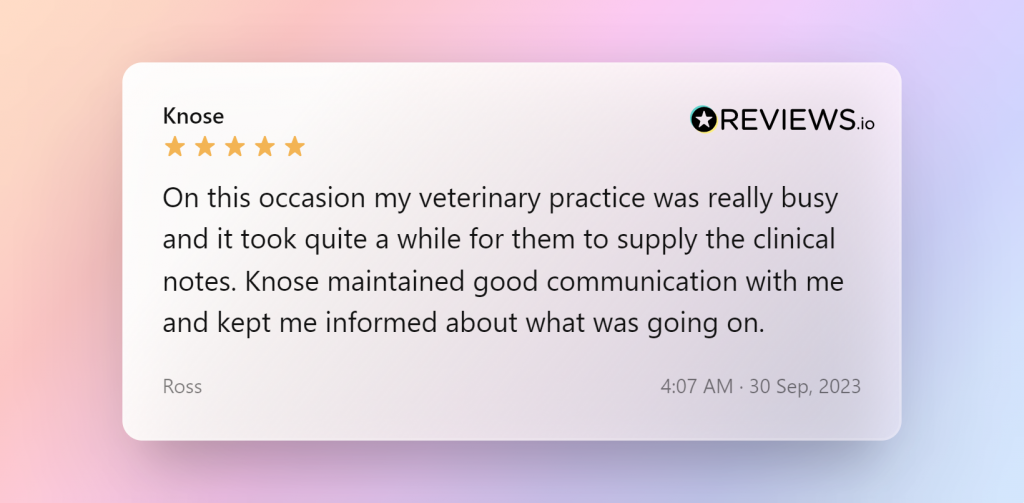 knose review and testimonial from a vet answering is pet insurance important