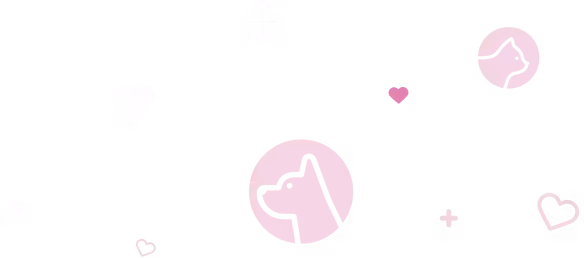 Minimalist icons of a dog and cat inside light pink circles, accented with small hearts and plus signs
