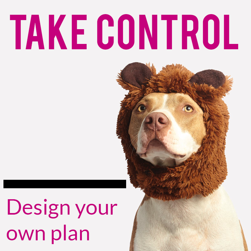 So You’re Still Not Offering Wellness Plans In Your Veterinary Practice…
