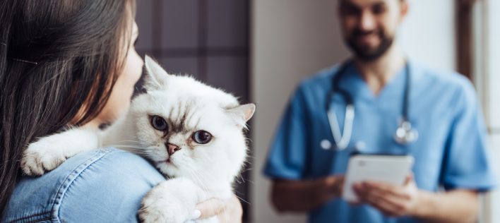Is Cat Vaccination Really Necessary?