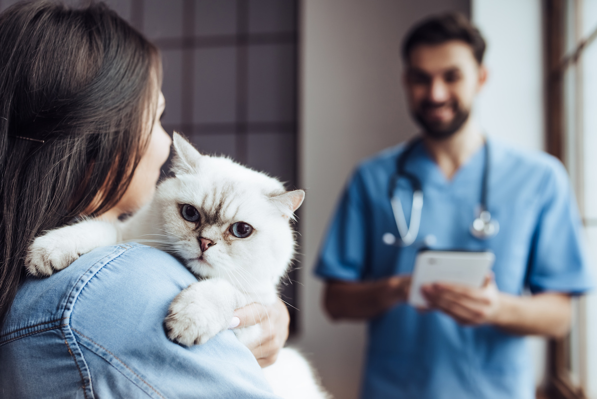 Is Cat Vaccination Really Necessary?