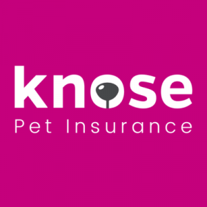 The Knose Team
