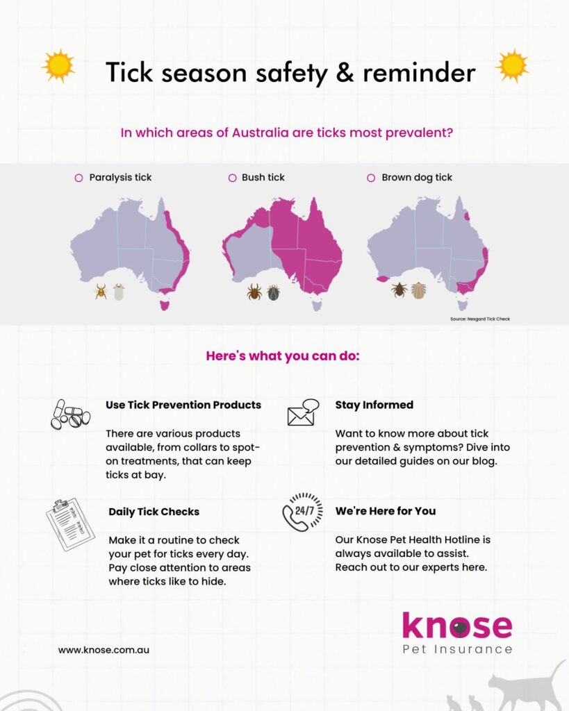 Infographic on Australia's tick season safety and reminders