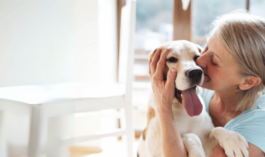 Woman kissing her dog - Knose Pet Insurance