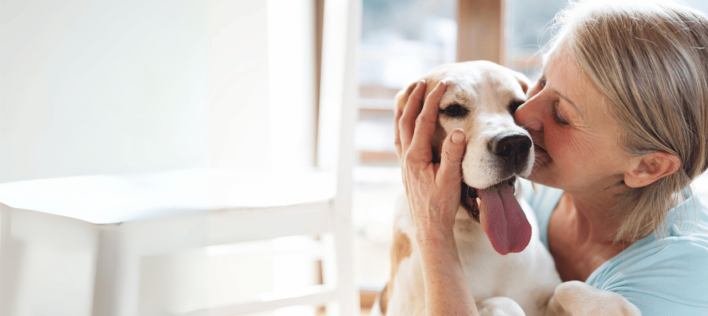 10 Ways to Engage Your Dog Indoors 