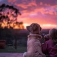 Senior dog Labrador and girl pet owner sitting and watching the sunset