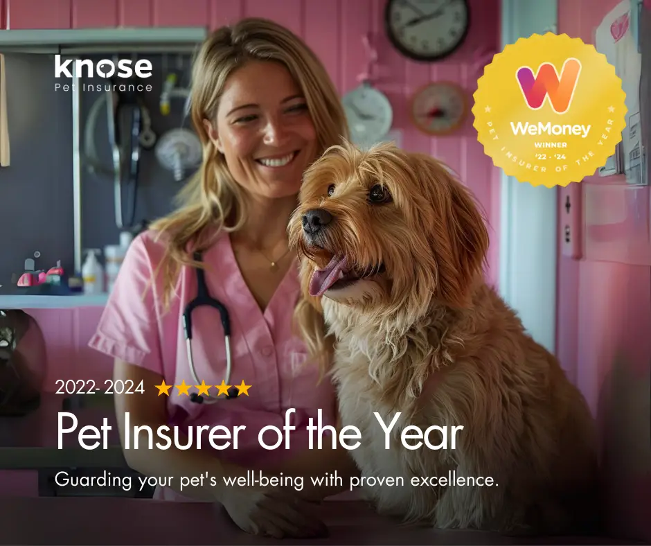 Knose wins Pet Insurer of the Year at WeMoney Insurance Awards 2024