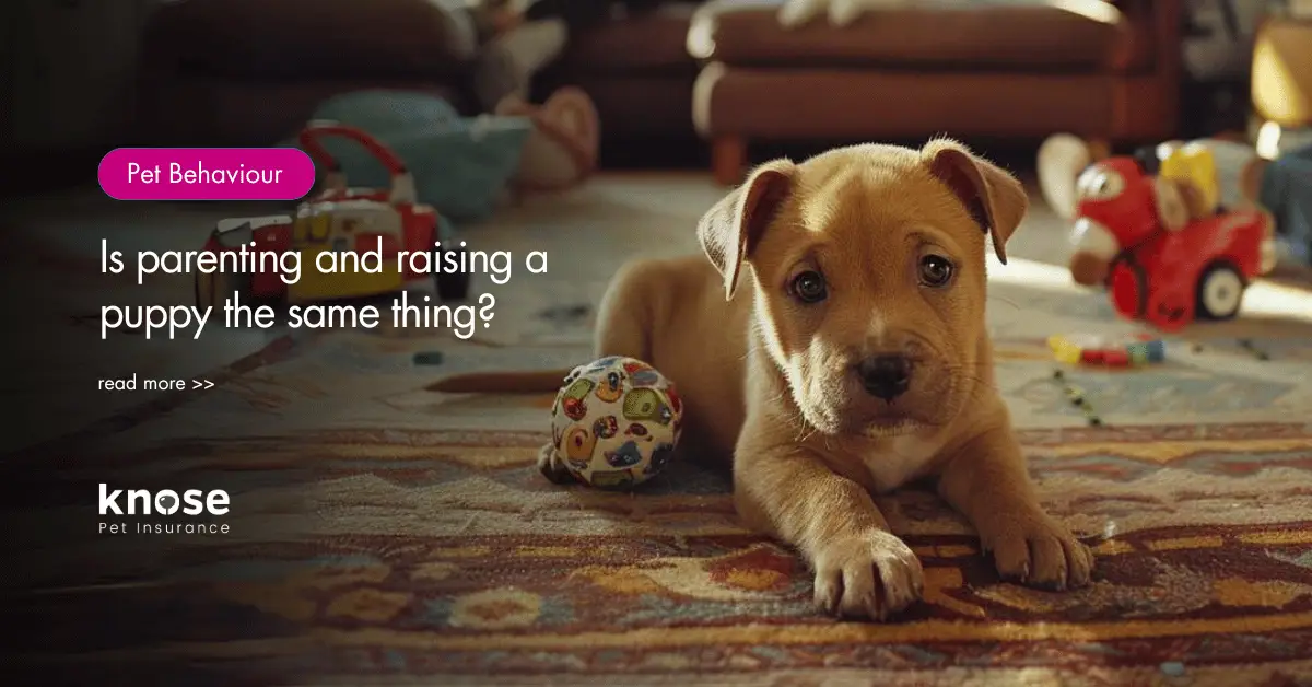 Is parenting and raising a puppy the same? Knose