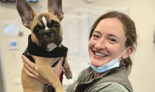 Dr. Sophie Putland holding a french bulldog