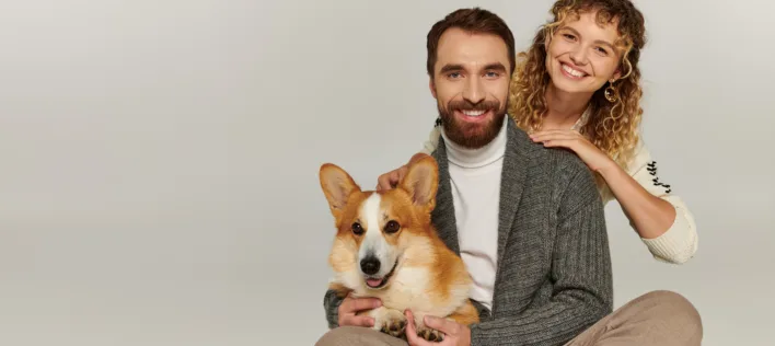 family portrait, happy man and woman in winter attire posing with cute corgi on grey background